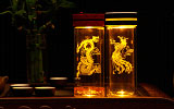 逸光太陽(yáng)能光電抑菌養(yǎng)生杯001