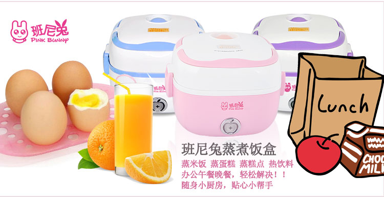 中山市比克斯電器有限公司