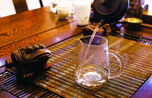 如何養(yǎng)茶寵
