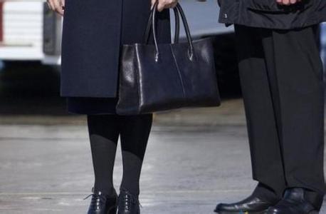 第一夫人彭麗媛緣何青睞廣東箱包品牌？