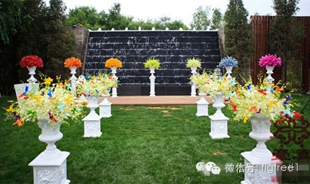【七色花】一瓣一瓣的美麗，一瓣一瓣的夢(mèng)想