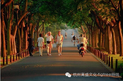 看！那些縈繞在美頸云肩邊的西湖美景（三）