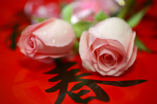 情人節(jié)“搶”在春節(jié)前 禮物染上年貨味