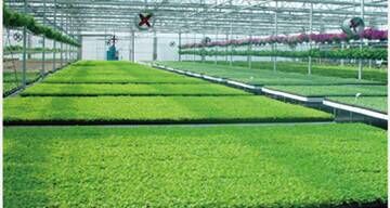 植物生長機進入家庭微耕時代 新品發(fā)布會暨招商大會于2015年12月27日盛大開幕