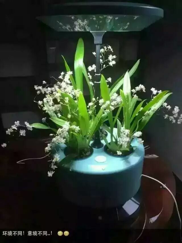 植物生長機進入家庭微耕時代 新品發(fā)布會暨招商大會于2015年12月27日盛大開幕