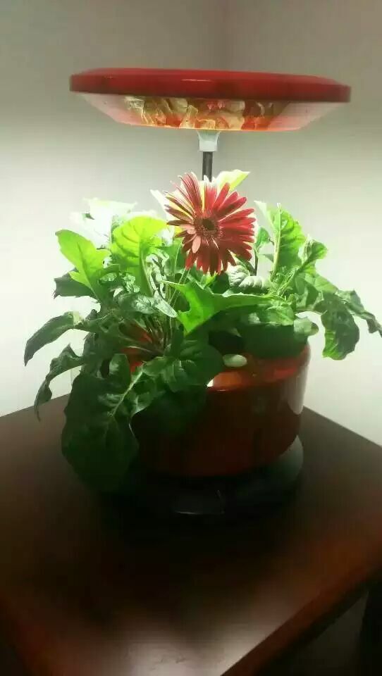 植物生長機進入家庭微耕時代 新品發(fā)布會暨招商大會于2015年12月27日盛大開幕